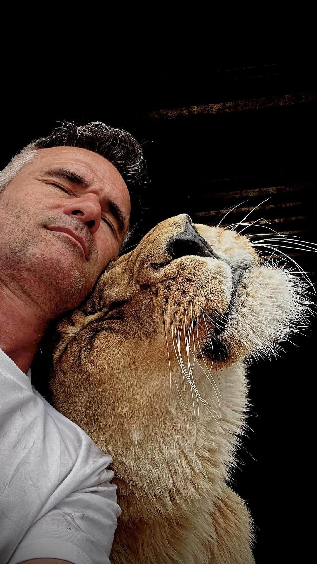 Kevin Richardson LionWhisperer のインスタグラム