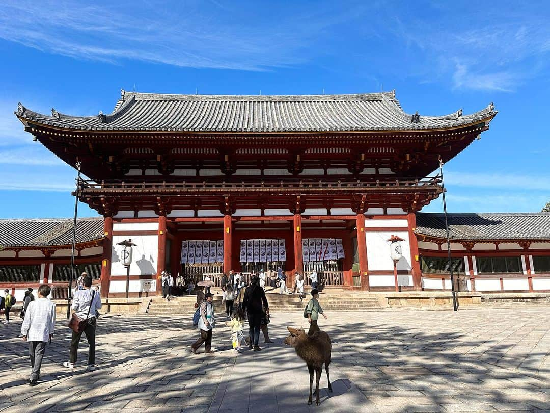 新保友映さんのインスタグラム写真 - (新保友映Instagram)「10月下旬、息子の運動会の振替休日があった週末、ふと思い立って、息子と奈良へ2人旅✨  奈良大好き…🍂✨  #奈良 #いざいざ奈良 #東大寺 #東大寺大仏殿 #東大寺二月堂  #二月堂 #奈良の鹿  #奈良旅 #奈良旅行  #2人旅  #nara #todaiji #todaijitemple  #daibutsu   結構急に思い立って行動に移すので、息子にとってサプライズ2人旅多めです😆🚅✈️」11月6日 23時18分 - tomoemoe0520