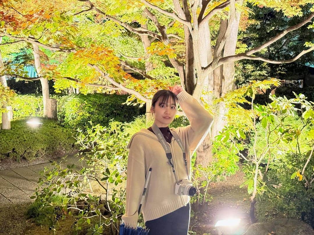 中崎花音のインスタグラム：「とてつもなく綺麗な場所だった…！！  こういう場所に来ると、小さい頃は眠いー歩きたくないーとか言ってたのに、今では綺麗な景色を見ると心が浄化されるようになっていて、大人になったなぁとたまーーーに思う😂  #日本庭園 #昭和記念公園 #カメラ #カメラ女子 #和傘 #ライトアップ #ポニーテール #ぼぶ #自然 #マイナスイオン #もみじ #秋コーデ #canon」