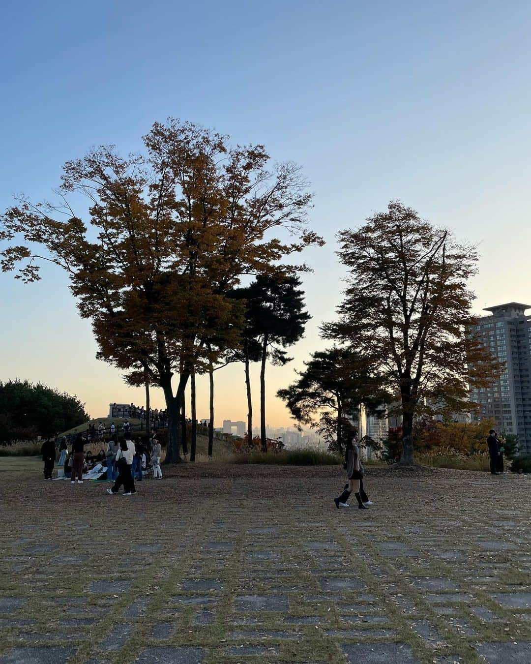 李到華さんのインスタグラム写真 - (李到華Instagram)「사람많다 #남산 바글바글 👫🍂」11月6日 23時42分 - ah____rim