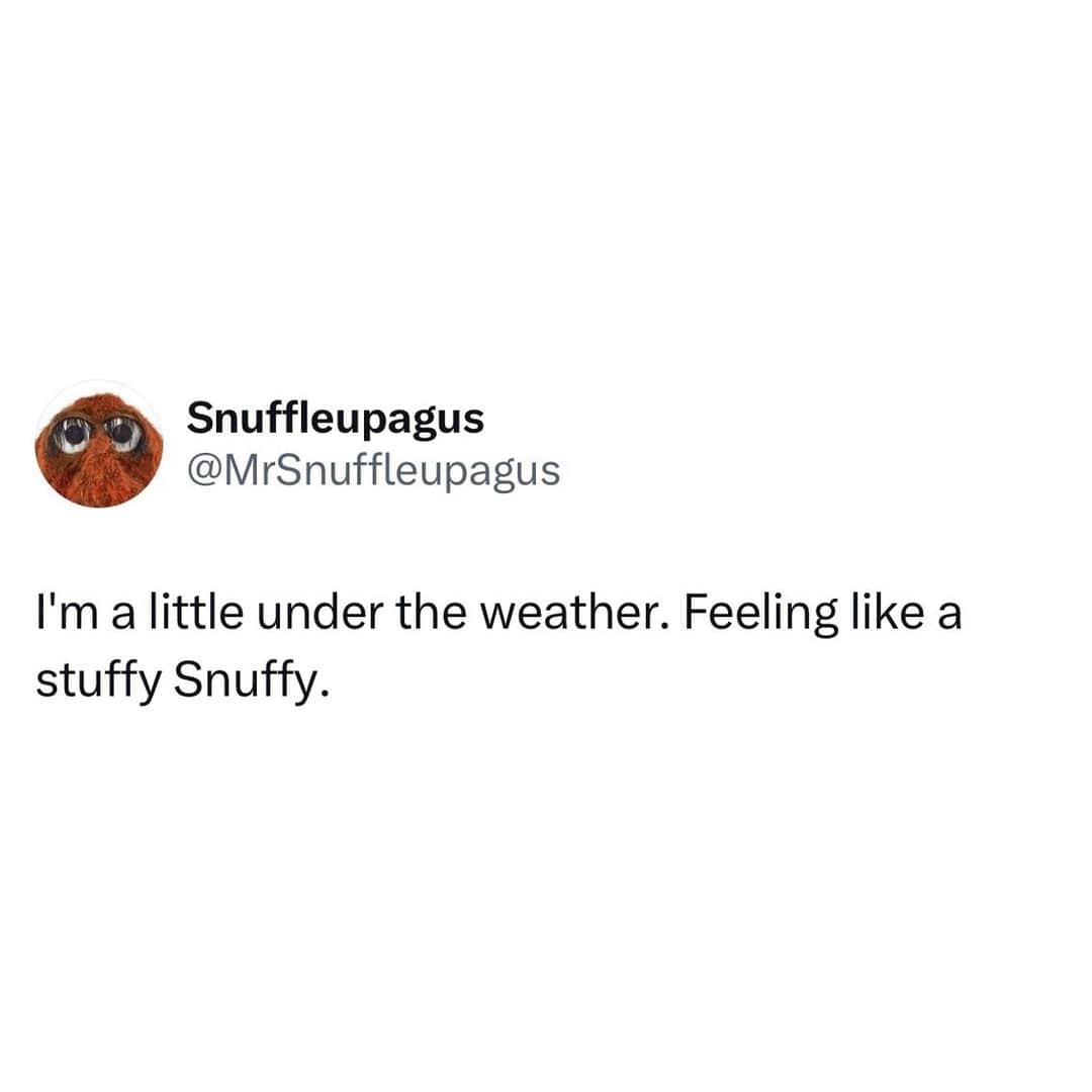 のインスタグラム：「Get well soon, Snuffy! Your friends on Sesame Street hope to see you back in action soon. Send Mr. Snuffleupagus some warm soup by leaving 🥣 in the comments!」