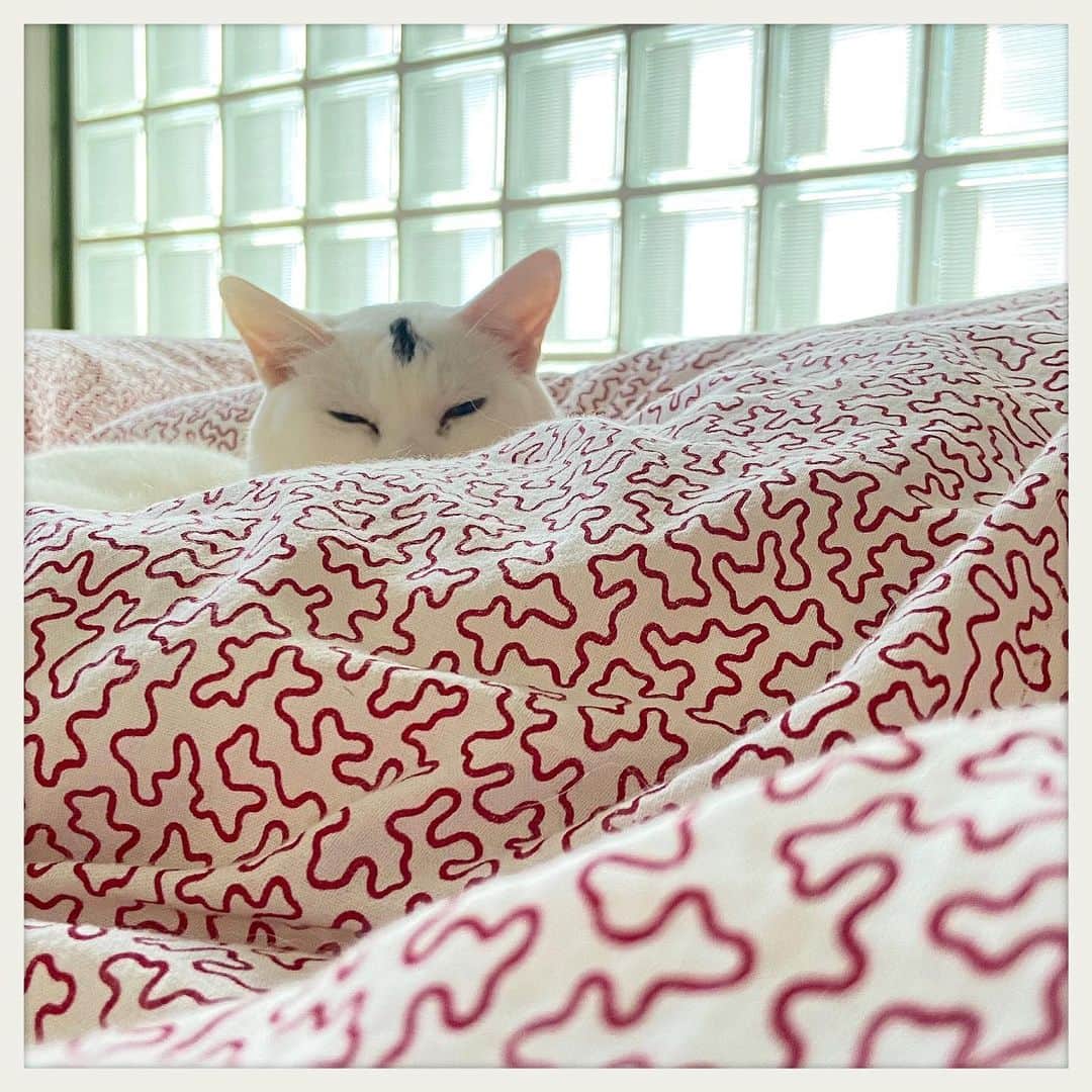 kumikoのインスタグラム