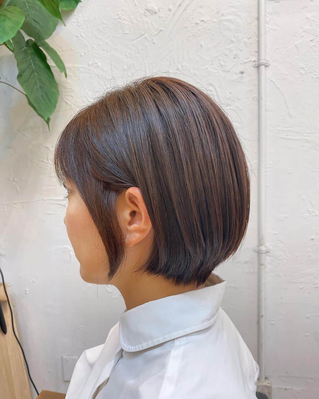 潮田玲子さんのインスタグラム写真 - (潮田玲子Instagram)「ヘアメンテナンスへ〜✂️💇‍♀️ 今回は息子も一緒に💇‍♂️  後ろはさっぱり、でも前髪切らないでとかみんなに切ったと言われたくないから気づかれない程度にさっぱりとか一丁前に注文してました笑😆  私はというと @accomplish_yu さんのところに通い始めてかれこれ一年ほどになりますが、ほんとに髪質変わった〜🥹🙆‍♀️ 広がらなくなったし何より艶が良くなって手触りが全然違う‼️ 本当にすごいと毎回感動してます👏  ゆうさんいつもありがとうございます☺️💓🙏  #PR #accomplish代官山 #髪質改善サロン #ヒト幹細胞トリプルプラチナAAAトリートメント #ありがとうございました」11月7日 10時02分 - reikoshiota_official