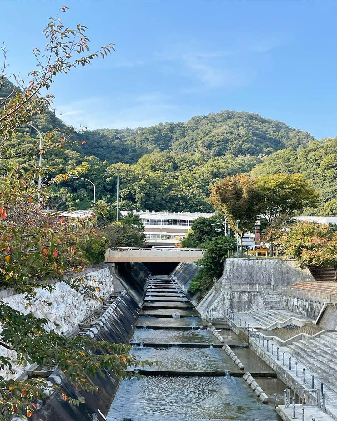 ウラリエさんのインスタグラム写真 - (ウラリエInstagram)「新神戸のカフェと言えば、🈁☝️⛰ 布引ハーブ園帰り #トースター さんに ↪︎ @toaster488 📍 . いつも常連さんが沢山で、大人気のお店🚩  店主のちゃあさんのトークが最高💋 . お目当てのコッペパンかあれば 取り置き予約してから行くのがオススメ✨ . この日も、私が行った時間は 予約完売していて... 新作🆕栗✖️ほうじ茶カスタードを🌰🍂 . ゴロッとした、艶のある渋皮栗の甘露煮に 香ばしいほうじ茶のカスタード☁️ 相性抜群すぎる。。。💯秋味がする🧡 . 甘い系のコッペパンだけやなく キャベツたまごやハンバーグのおかず系も ✅ . トーストのメニューもあります📝 . 店内には、可愛いハンドメイド雑貨や フリマコーナーも👗💍 . 新神戸に行かれた際は、是非是非 トースターさんへ♡ . ちゃあさんに久々会えて嬉しくて✨ めっちゃパワーもらった💪💪💪 #新神戸のパワースポット . @koutyan_lunch が渡してくれた ウラリエステッカー、お店に貼って下さってた！ H A P P Y ➿ 💋 . #神戸#神戸市#kobe#神戸旅行#神戸観光 #lovehyogo#神戸カフェ#神戸グルメ」11月7日 10時23分 - urarie83