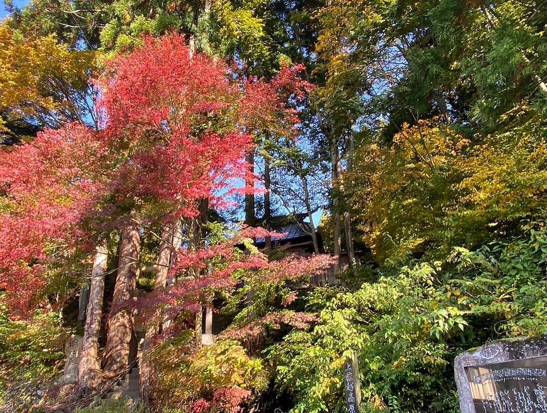 野沢温泉　村のホテル　住吉屋さんのインスタグラム写真 - (野沢温泉　村のホテル　住吉屋Instagram)「御嶽神社(麻釜前の神社)より紅葉をお届けします🍁 下にちょっぴり見えているのが麻釜です！  最後の一枚は、当館客室「飯綱」からの一枚📷  #村のホテル住吉屋  #野沢温泉村 #紅葉狩り #紅葉 #sumiyosiya_nozawa #nozawaonsen」11月7日 10時24分 - sumiyosiya