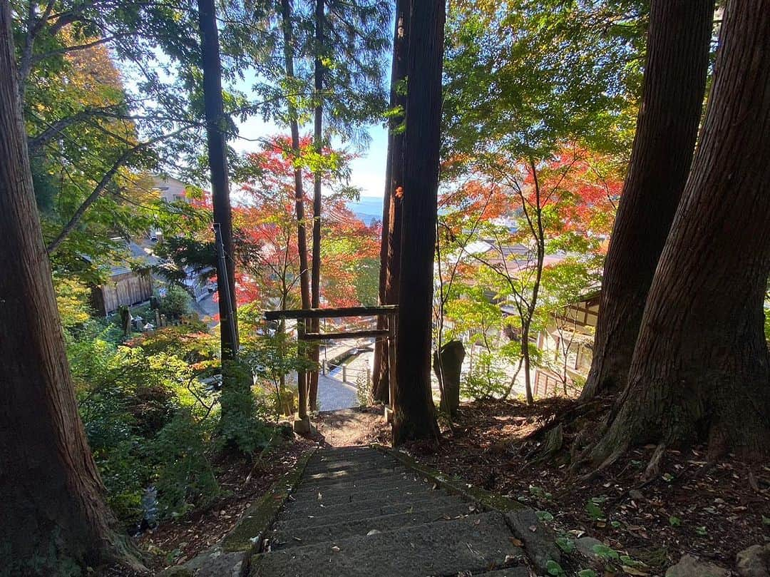 野沢温泉　村のホテル　住吉屋のインスタグラム：「御嶽神社(麻釜前の神社)より紅葉をお届けします🍁 下にちょっぴり見えているのが麻釜です！  最後の一枚は、当館客室「飯綱」からの一枚📷  #村のホテル住吉屋  #野沢温泉村 #紅葉狩り #紅葉 #sumiyosiya_nozawa #nozawaonsen」