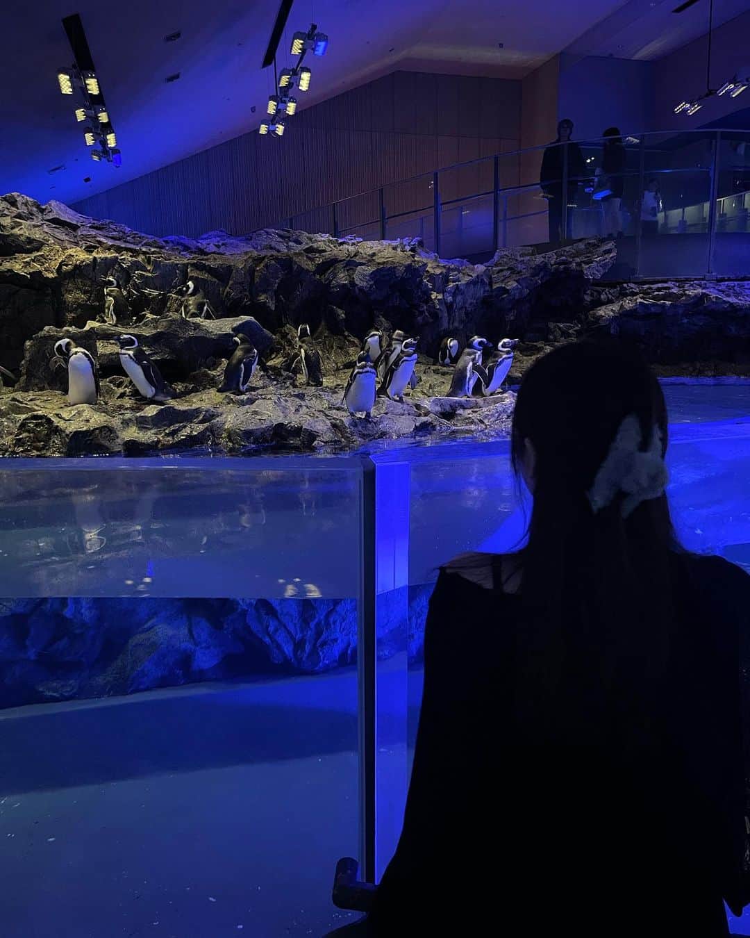 蘂のインスタグラム：「久々に浅草デートした💠」