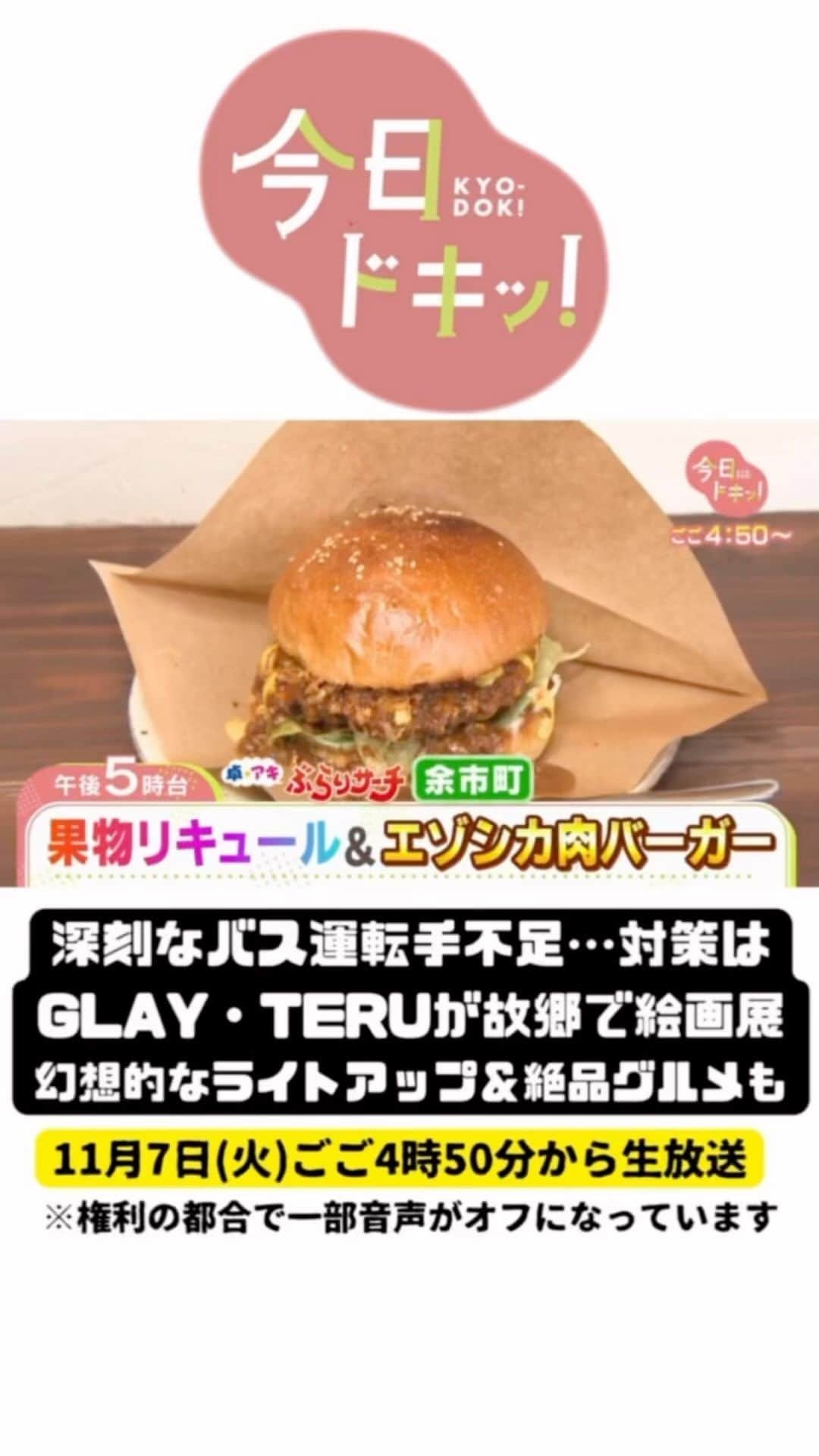 北海道放送「今日ドキッ!」のインスタグラム：「11月7日(火) #今日ドキッ ！ラインナップは 【過去の今日ドキッ+森田&堀アナの2Sトークも公開】  ⚪︎深刻なバス運転手不足…公共交通守る方策は？ ⚪︎幻想的ライトアップ！余市のグルメ店ぶらり ⚪︎“日本最古”のマチ！子どもらが世界にＰＲ ⚪︎ #glay のＴＥＲＵが故郷で絵画展を開催へ ⚪︎灯油価格めぐり協議 #hbc #森田絹子 #堀啓知」