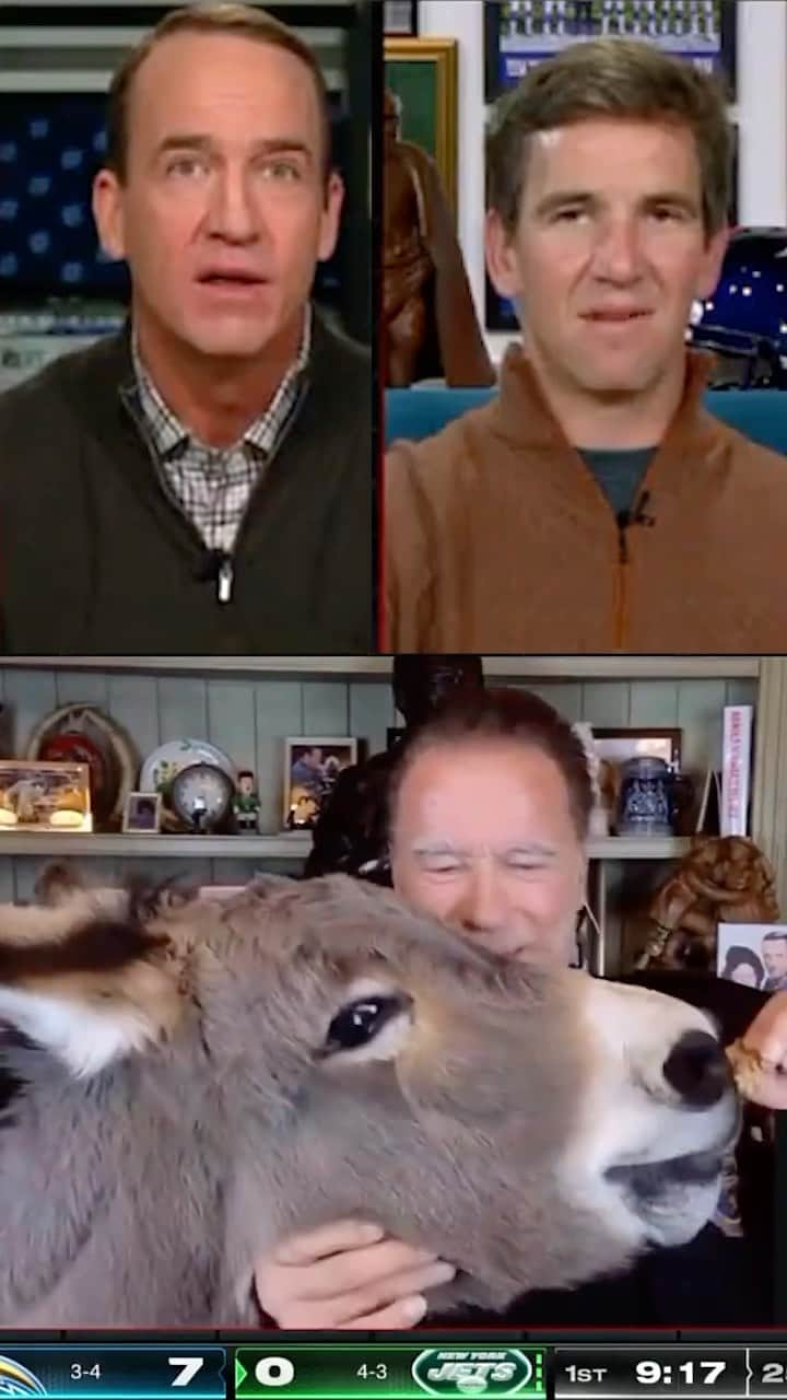 アーノルド・シュワルツェネッガーのインスタグラム：「Nothing to see here just Arnold Schwarzenegger feeding a donkey on the ManningCast.」