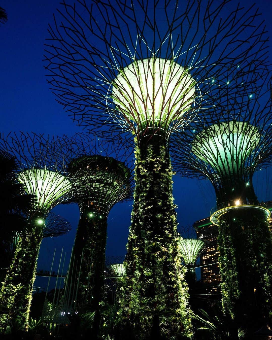 ウィリアム（ケンブリッジ公）さんのインスタグラム写真 - (ウィリアム（ケンブリッジ公）Instagram)「What an incredible day in Singapore 🇸🇬  See you all tomorrow for The #EarthshotPrize 2023 🌏💚」11月7日 2時23分 - princeandprincessofwales