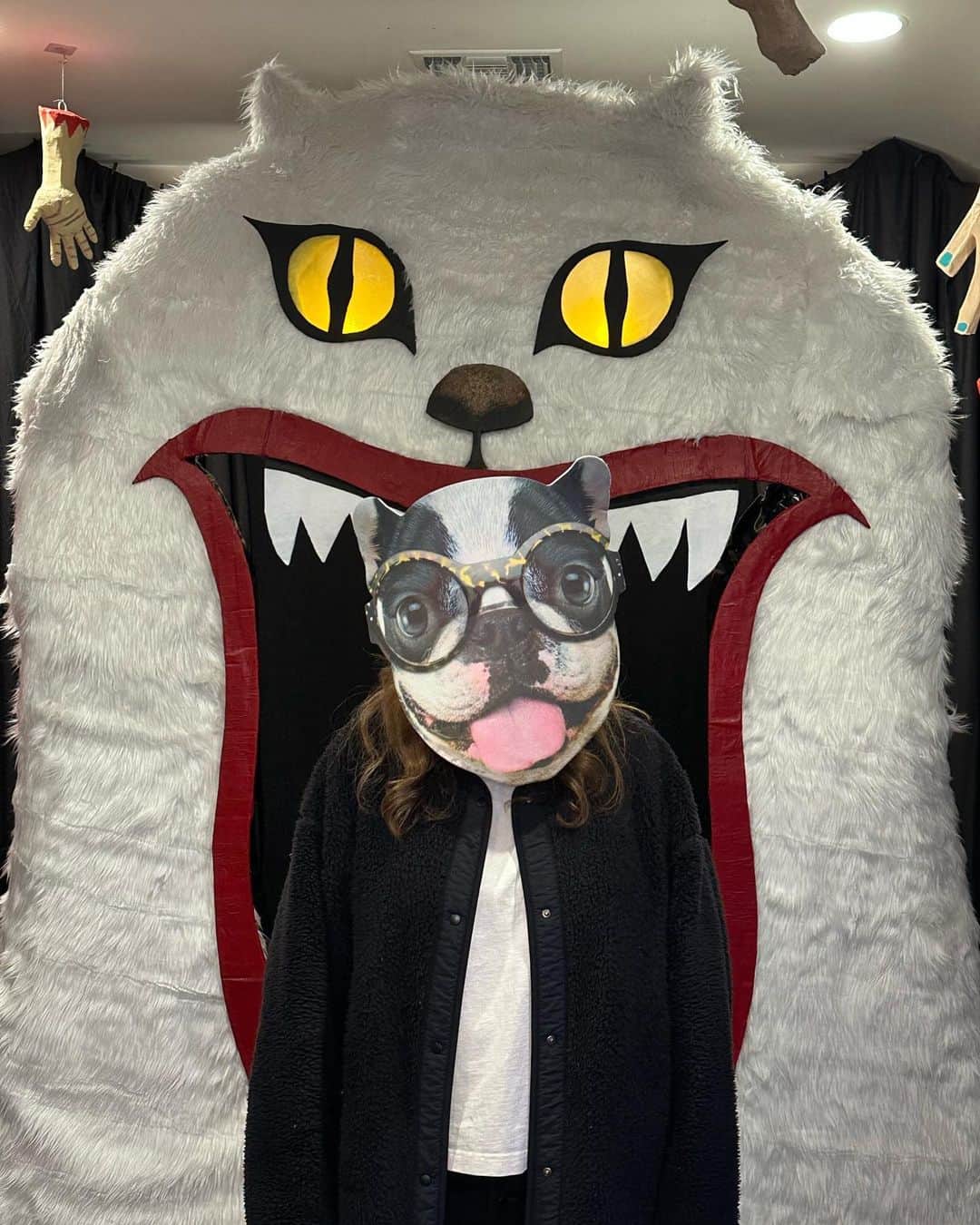 JessRonaGroomingさんのインスタグラム写真 - (JessRonaGroomingInstagram)「I think the Boston Terrier mask should become a permanent part of my wardrobe. Thoughts?   #contentdump #cameraroll #jessronagrooming」11月7日 2時59分 - jessronagrooming