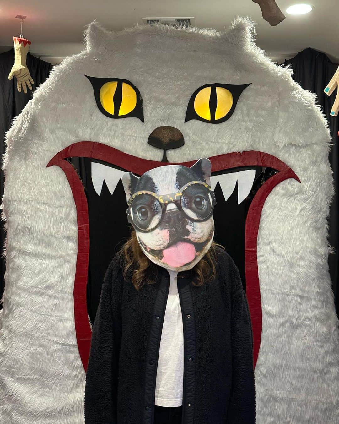 JessRonaGroomingのインスタグラム：「I think the Boston Terrier mask should become a permanent part of my wardrobe. Thoughts?   #contentdump #cameraroll #jessronagrooming」