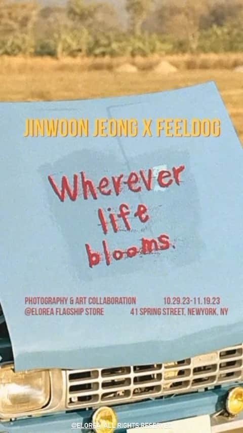 ジヌン のインスタグラム：「WHEREVER LIFE BLOOMS opening night highlights 전시 오프닝 하이라이트  Live drawing and performance by Feeldog @fxxldoggssy and Jinwoon Jeong @jinwoon52  - On View |  @elorea flagship store, 41 Spring Street, New York, NY  Closing Date | 11.19.23 Hours | 12-7pm」