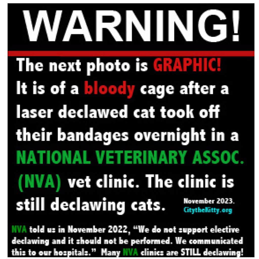 City the Kittyのインスタグラム：「Here is the graphic and bloody photo of a cage at an NVA @nvapets clinic after the cat, who was LASER declawed, took off their bandages overnight. 😿😿😿😾😾😾 It is devastating to know how much that cat suffered and WILL suffer for life, because a vet at an NVA.com practice put greed over the welfare of a cat and barbarically burned off the cat’s much needed toe bone$ and claw$.😾😾😾😾 PLEASE help us with these call to actions for all the innocent cats!!!!🐾❤️  NVA has been telling us for over a year that they plan to end declawing in their clinics.  They deceived us big time. 😾😾😾😾  In November 2022 NVA told us “we do not support elective declawing and it should not be performed. We have communicated this to our hospitals.”   As of NOV. 1,2023 we have found many NVA veterinary clinics that are STILL regularly declawing cats including the one in this photo. 😾😾😾😾😾😾  Please sign our petitions to @nvapets and @ aahahealthypet that are on our Instagram bio link.   If @nvapets (and AAHA.org) would tell their clinics that declawing is NOT allowed unless it’s for a medical reason for the cat like a tumor or injury, then this evil & dark chapter in the American veterinary profession would be over sooner than LATER!  Please send an email to the German billionaire family (The Reimanns) who own NVA.com and ask them to STOP allowing declawing in their NVA clinics!!! 😾😾😾😾 The Reimann’s ancestors profited from the horrors of the Nazi regime and we had thought that they had learned from their past.  Declawing is animal cruelty and it’s wrong for many of their clinics to be profiting from it... Email- mail@alfredlandecker.org  You can call NVA and ask them why they are STILL allowing declawing in their clinics. 805 777 7722 or reach out to them here on Instagram.   Please also send an email to Dr Marty Becker since NVA and fearfreepets FEAR FREE Pets are working together.  As you know, Fear Free banned declawing in their clinics in 2021. Email- wags@fearfreepets.com  Thank you!!! 🐾❤️」