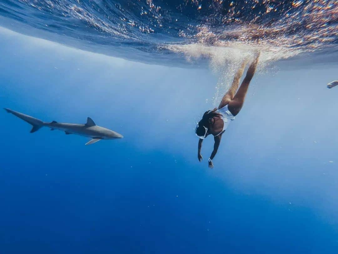 フリースタイルのインスタグラム