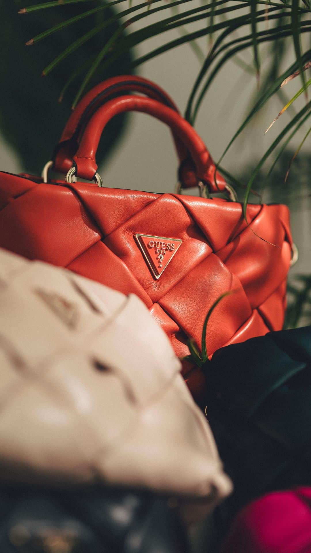 ゲスのインスタグラム