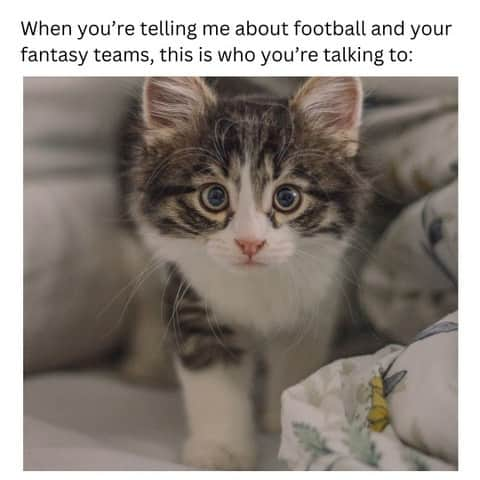 Fresh Stepさんのインスタグラム写真 - (Fresh StepInstagram)「Only watching to see our fellow cat lover, Taylor Swift. 😸  #footballseason #footballmemes #cats #catmemes #kittens #cutecats  #freshstep」11月7日 5時00分 - freshstep