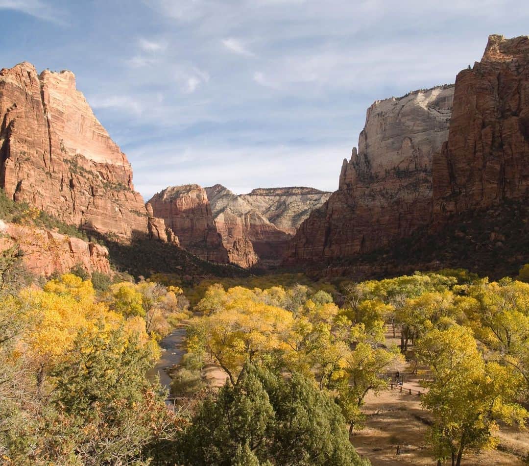 アメリカ内務省のインスタグラム：「Save the date! On Saturday, November 11 — in honor of Veterans Day — entrance fees on all Interior-managed public lands will be waived across the country. We encourage everyone to get outside and take advantage of the health benefits of spending time in these natural spaces that belong to all of us.    Whether it's hiking, camping or climbing on lands stewarded by @mypubliclands, bird watching or visiting national wildlife refuges on @usfws-managed lands, or enjoying national parks️, monuments️ and historical sites curated by @nationalparkservice – fee-free days offer an incredible opportunity to enjoy America's public lands.    Photo by Christopher Gezon / @zionnps    Alt Text: Cottonwood trees blanket the floor of Zion Canyon and turn a golden color in autumn.」