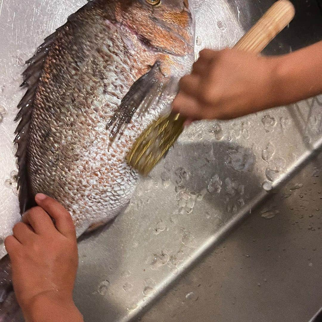 宇藤えみのインスタグラム：「坊念願の🐟自分で釣った鯛を捌く 鱗取り、骨取りやはじめてだけどなかなか上手👍 食いしん坊二人して味見が止まらなかっただし汁。笑 魚は新鮮だし、仁井田さんの料理酒で旨みがさらに増す。 そりゃうまいわな〜 #暮らし」