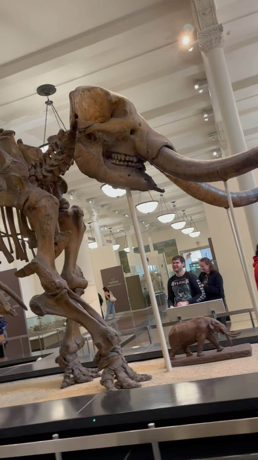 アメリカ自然史博物館のインスタグラム：「🦣 Both mammoths and mastodons are proboscideans—members of the same family tree as modern elephants. Learn more about proboscideans in the Museum’s new exhibition The Secret World of Elephants, opening November 13! Members see it free.  #STEM #science #paleontology #fossils #didyouknow #museums」