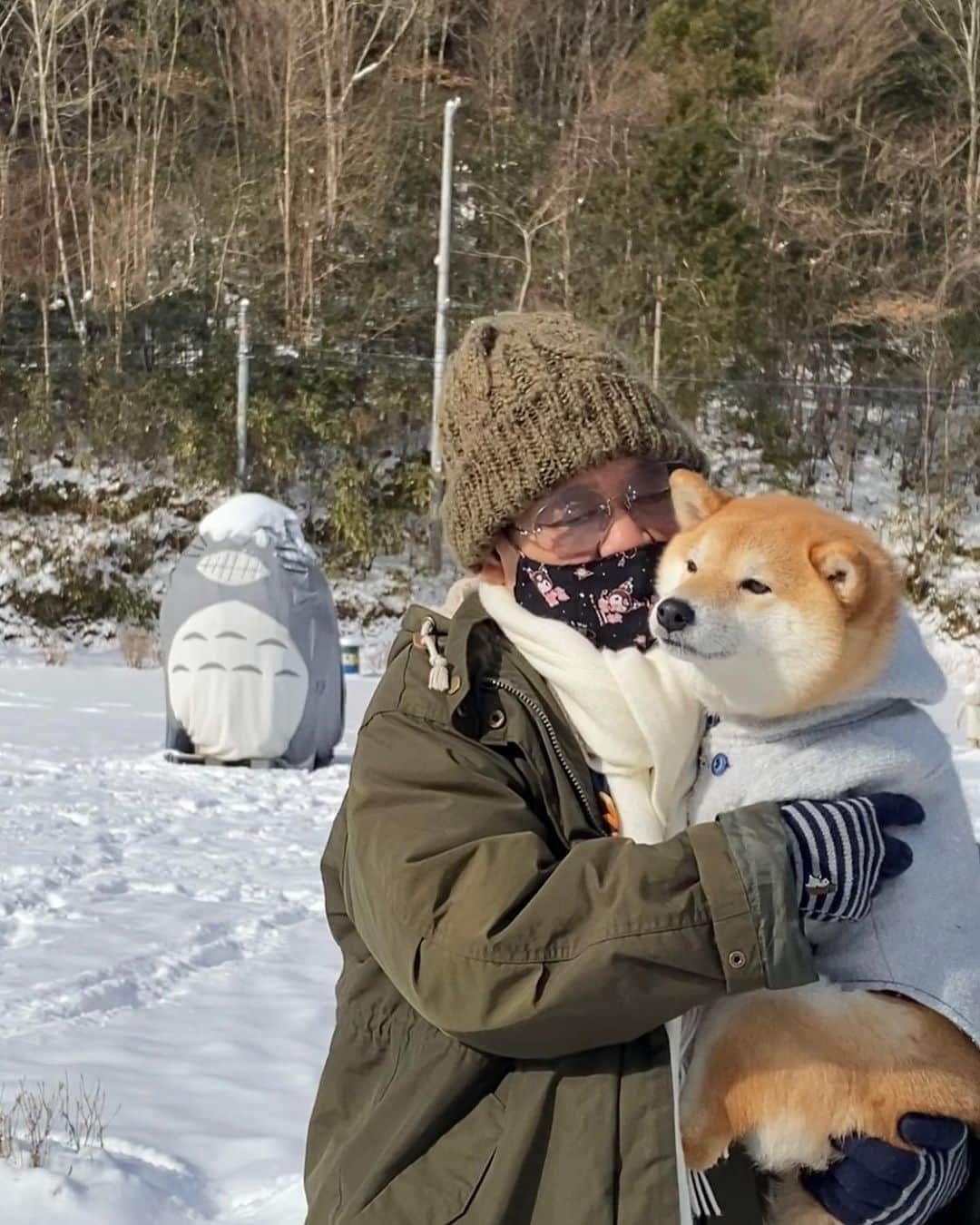 柴犬小雨のインスタグラム：「・ ばぁば... ばぁば.. だっこしてくれて ありがとう ・ 「こーさめちゃん、ねんねおし」 って、こさめにいつも ざぶとんしいてくれて ありがとう ・ かぞくになったひの ばぁばのおひざのぬくもり こさめ、わすれないよ ばぁばもゆっくり ねんねしてね ・ ・ ・ 11月3日　21時31分 最愛の母が亡くなりました。 ・ 半年程前から入院しており、病状も良くなかったので、ある程度の覚悟はしていましたが...やっぱり寂しいですね。 ・ でも、母自身は思うように生きて、悔いのない人生だったと思います。 家族の楽しい思い出も沢山あります。 私が結婚してからも度々会っていたし、ダンナさんも私の両親と仲良しだったので、4人で家族旅行にも行きました。 小雨を迎えてニか月で父が亡くなったので、それから入院するまでの約五年間、高齢の母の様子見がてら... 週末には必ず実家に泊まって、一緒に晩ごはん食べたり、道の駅に行ったり。 「いい距離感でお互い気を使わず、お母さんも良かったと思うよ。俺は全く悔いはないな」 と、ダンナさんが言ってくれてホッとしました。 ・ 入院中は、面会に制限がありましたが、その範囲内で毎週会いに。 無反応だった母と、会話が交わせるようになった時は嬉しかったなぁ。 このまま奇跡が起こって回復するんじゃないかとさえ思いました。 ・ ずっと点滴でしたが病院にお願いして、母の好物のじゃがいもを柔らかく炊いたのを作って食べさせてあげました。 それが、口から物を食べた最後になりました。 ・ 病院から連絡もらって、亡くなる前日、当日と会いに行けました。 再度連絡がきて、急いで行って 「お母さん！お母さん！」 と、私達が呼びかけたと同時に息を引き取りました。 待っててくれたんだと思います。 ・ 最後まで弱音を吐かず、強い母でした。 どんな時も私を信じて、無償の愛で包んでくれました。 ・ ・ 私の名前は〝じゅんこ“といいます。 命名者　母 平凡で可愛い名を思って...。 〝平凡で穏やかな“一生を送って欲しい。 亡くなってから出てきた育児記録に、そう書いてありました。 ・ ・ お母さん、私を産んでくれてありがとう。 生まれ変わってもまたお母さんの娘になりたい。 大好きだよ。 お母さん、ありがとう。 ・ 　　　愛する母へ　淳子より」