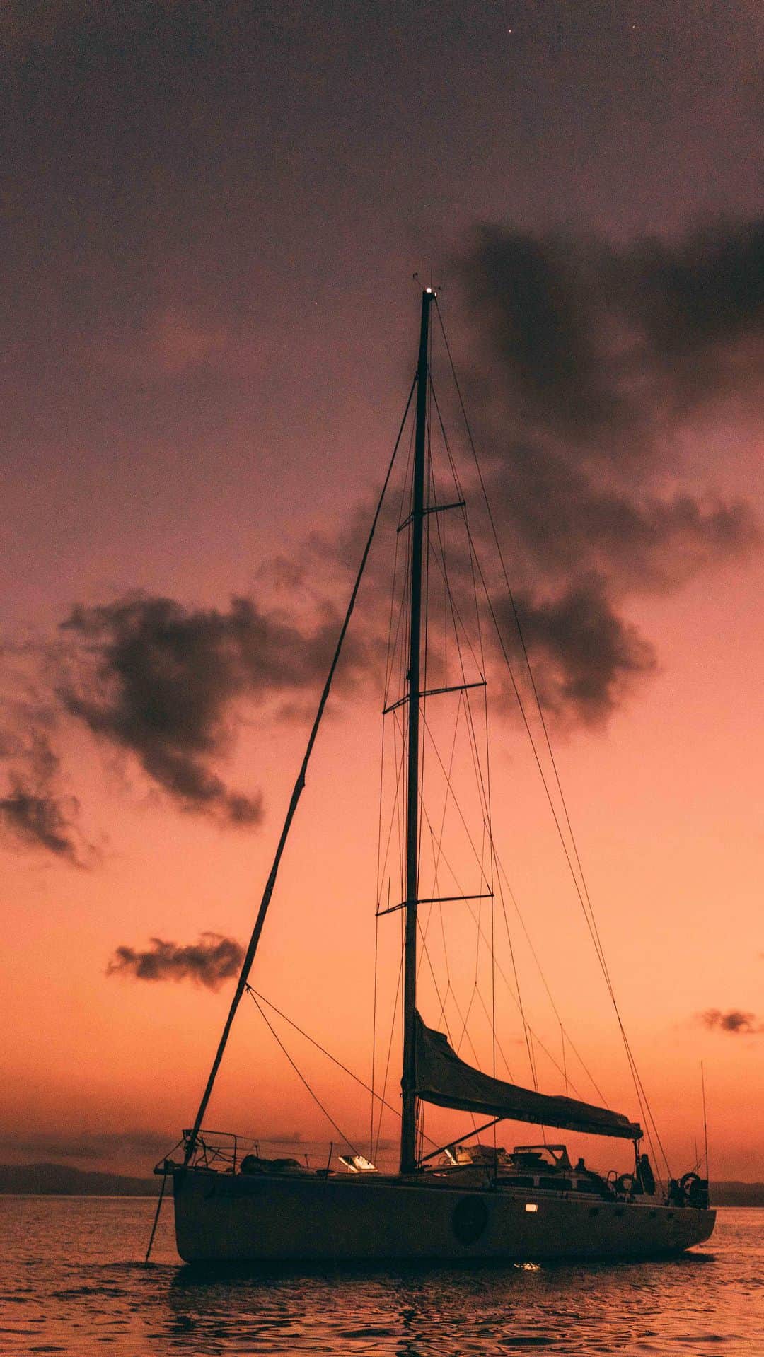 のインスタグラム：「Our 3 days Sailing Whitsundays, what a time to be alive! @dropbearadventures」