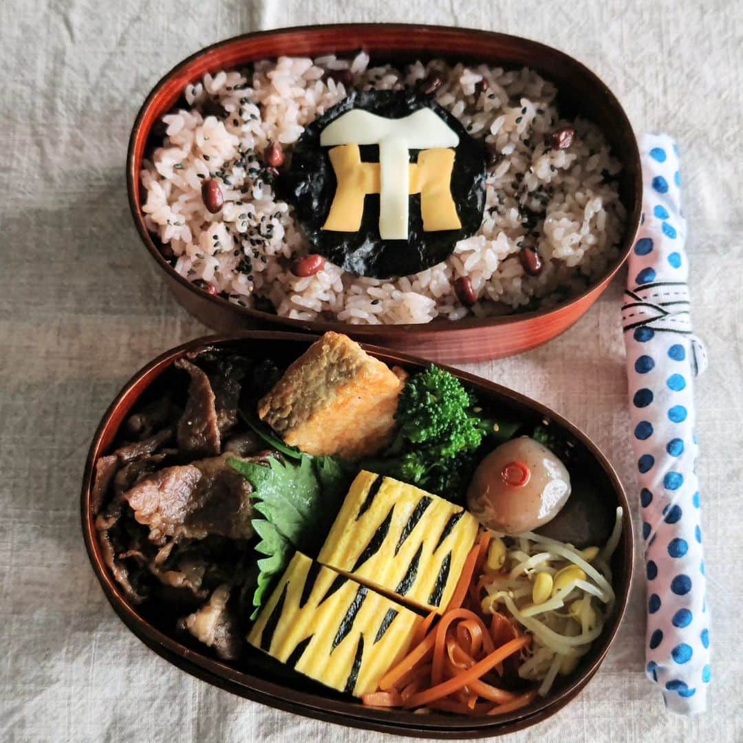 藤森夕子さんのインスタグラム写真 - (藤森夕子Instagram)「おはようございます(^^) 今日の息子弁当は、阪神タイガース日本一を祝して🎊  『タイガース🐯弁当🍱』です！！  だし巻き玉子を虎柄にして、ご飯はめでたく御赤飯に！そしてロゴを乗せました(*^^)v  おかずはいつもと変わらないのだけどねーw 工作みたいで楽しかったです！  最後の一球まで魂を込めた試合、両チームに感動しました 暫く試合がないのがさみしいけど…  まだまだ録画を観て盛り上がってます(*^^)v  さ、今日も良い一日になりますように♡  #お弁当#お弁当記録#息子弁当#男子高校生弁当#男子弁当#二段弁当#まげわっぱ#曲げわっぱ#部活弁当#スポーツ弁当#虎柄だし巻き玉子#ていねいな暮らし#てづくりおべんと#阪神タイガースファン #obento#lunchbox#japanesefood#タイガース優勝#オベンタグラム#毎日お弁当#今日のお弁当#高校生弁当#まげわっぱ弁当#お弁当クラブ#親子弁当#大館工芸社#タイガース弁当#優勝弁当#阪神タイガース優勝弁当#日本一」11月7日 8時39分 - yukofujimori2525