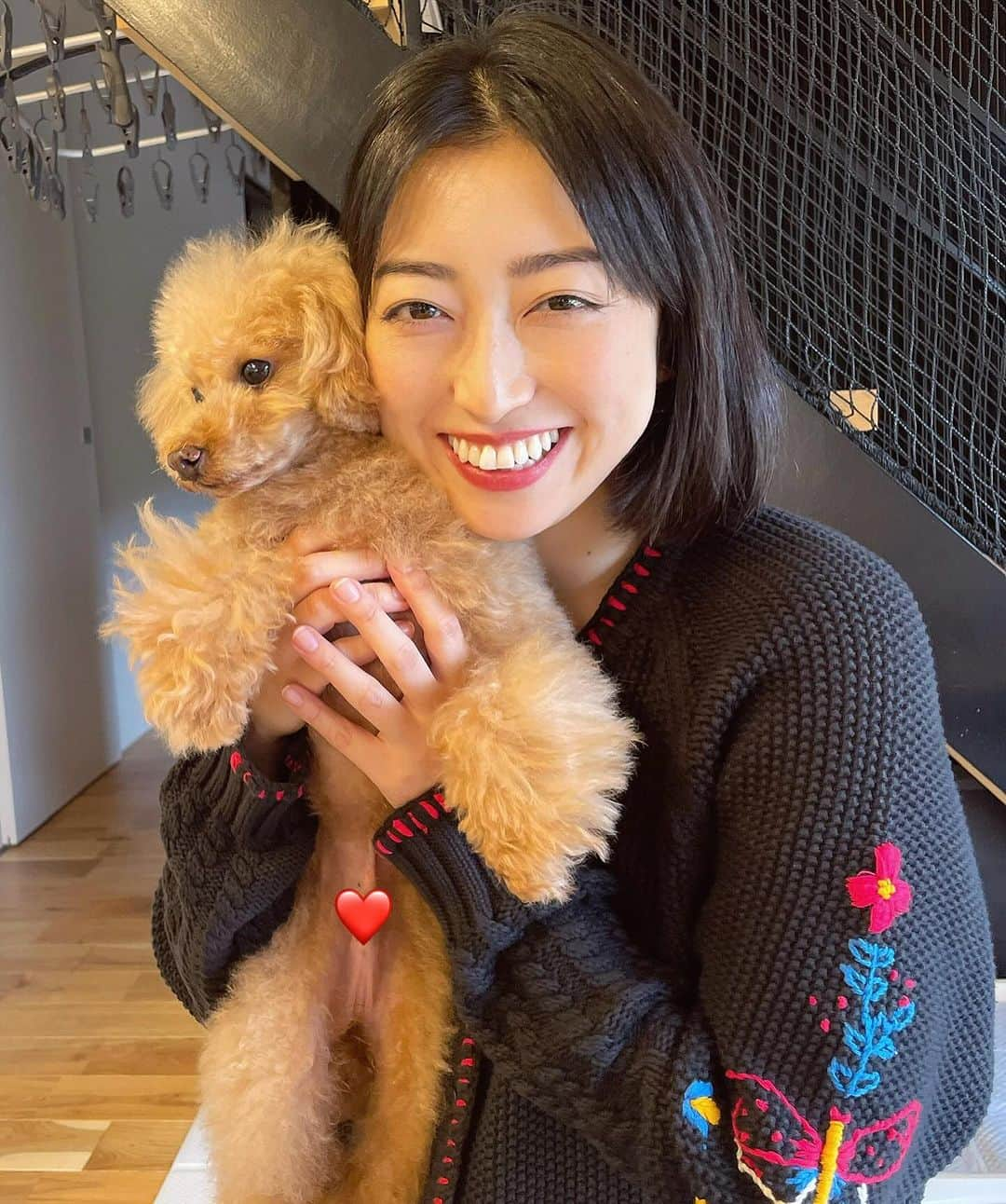 中里亜美さんのインスタグラム写真 - (中里亜美Instagram)「犬🐕猪🐗鹿🦌きみたち尊いね〜☺️  森町のぼたん鍋、最最高高でした…🍲  #猪肉 #鹿肉 #ぼたん鍋 #森町 #遠州の小京都 #森町グルメ #クレイジージャーニー #浜松 #静岡 #なかざと_旅  #カツヌマのシュークリーム で〆」11月7日 9時33分 - __ami__go__