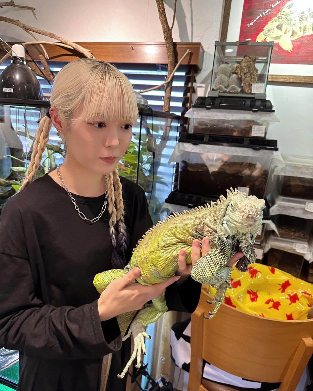 uyuのインスタグラム：「動いた時にしっかり対処しないと怪我するからめっちゃ真剣」