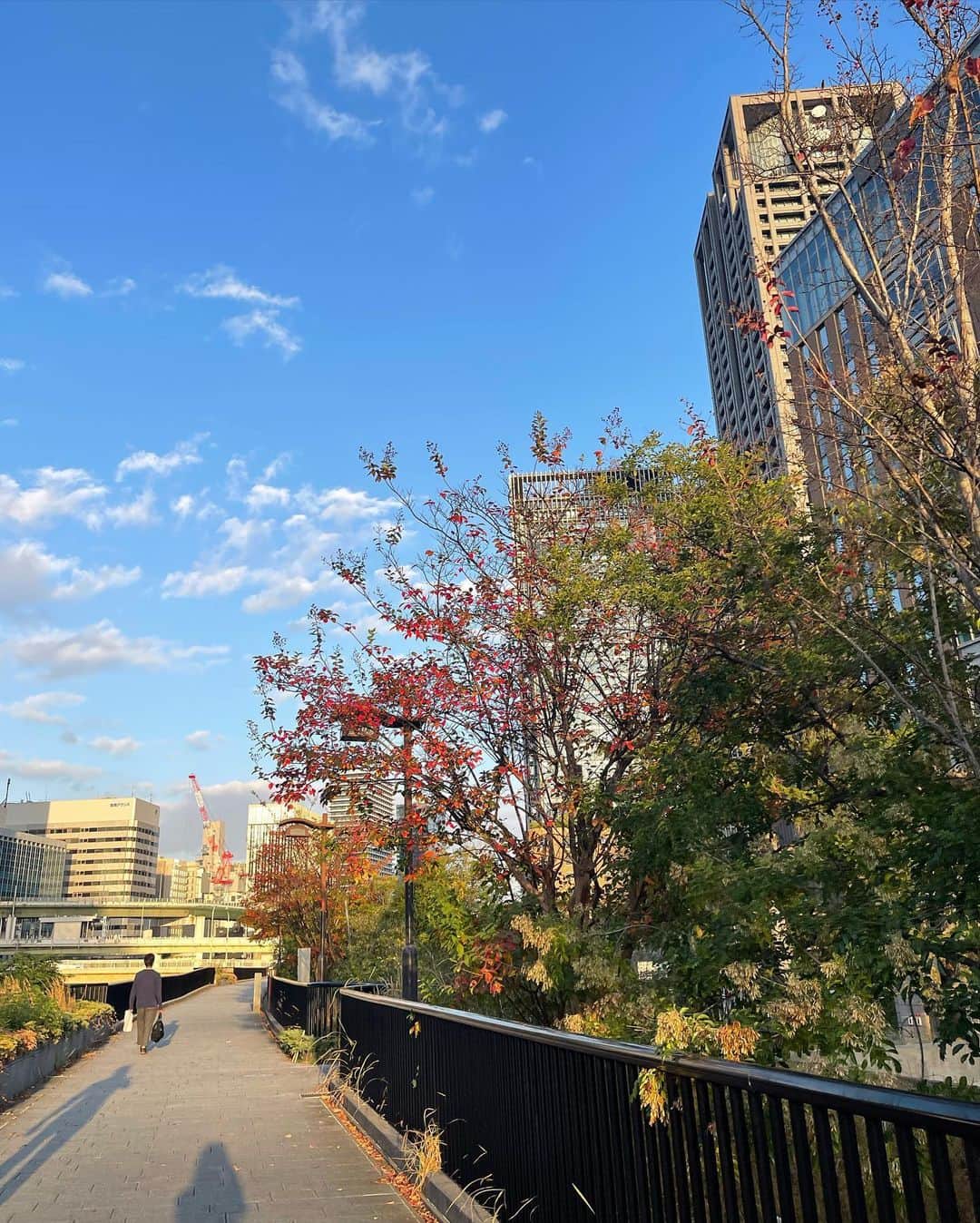 畑芽育さんのインスタグラム写真 - (畑芽育Instagram)「LIGHT💠  東京での会期逃してしまったので 大阪でテート美術館展に🚶 行けてよかった〜いっぱいグッズ買っちゃう  1人でのんびり歩いて空気いっぱい吸った！満足！」11月7日 19時35分 - mei_hata_official