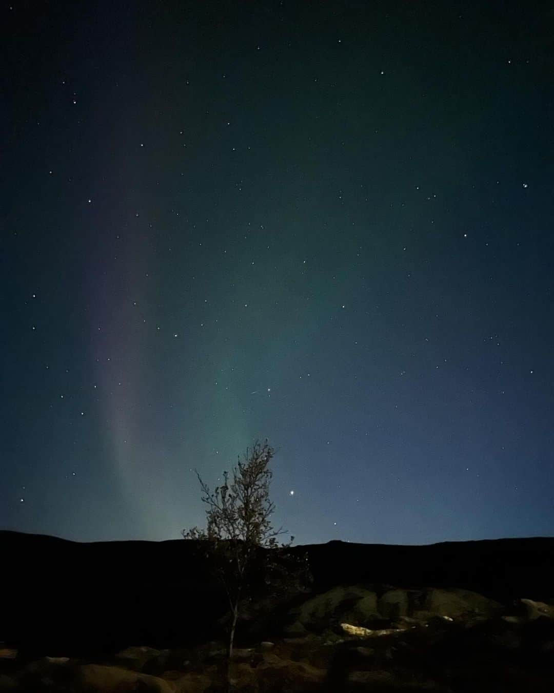 柴田紗希のインスタグラム：「ION Adventure Hotelから見えたオーロラたち✨✨✨  #iceland #ionadventurehotel  #aurora」