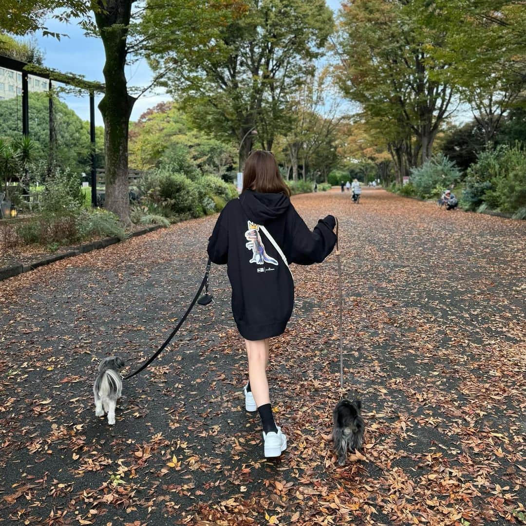 谷川菜奈さんのインスタグラム写真 - (谷川菜奈Instagram)「お散歩🐕🤍」11月7日 20時04分 - pechi.130