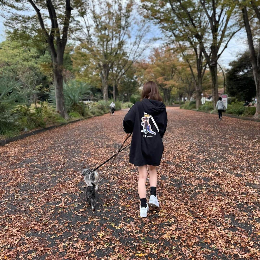 谷川菜奈のインスタグラム：「お散歩🐕🤍」