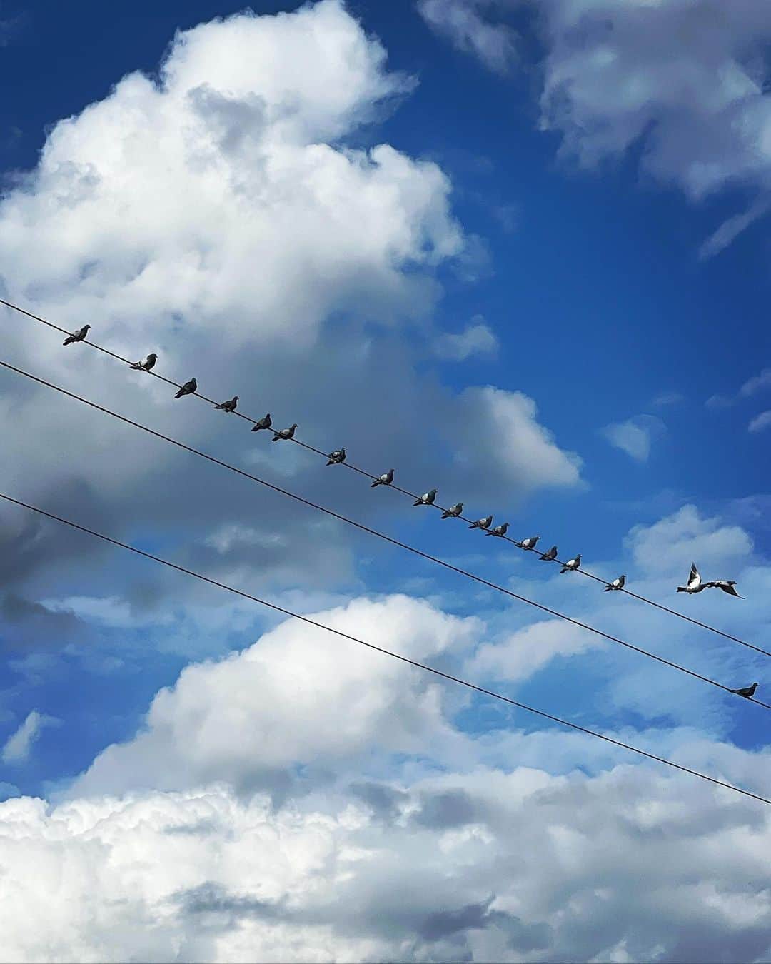 ディエイト（THE8）さんのインスタグラム写真 - (ディエイト（THE8）Instagram)「하늘, 구름, 지친 새, 무지개, 내리는 비, 석양, 둥근 달 그리고 나🎂」11月7日 20時05分 - xuminghao_o