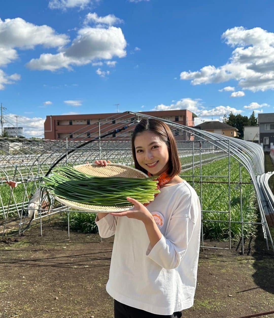 テレビ朝日「グッド！モーニング」のインスタグラム：「ニラを収穫して、 沢山ニラ料理を食べてきました！ 特有の独特の匂いも気にならず、シャキシャキしていて美味しかったです  #ニラ#ニラの食べ方#収穫#グッドモーニング#あらいーな#テレビ朝日#テレ朝」