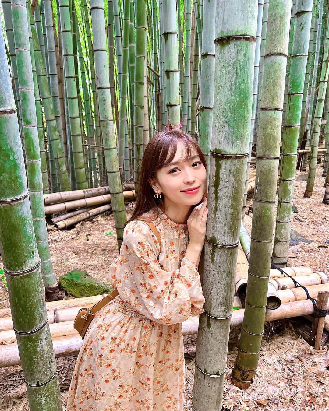 みき みーやんさんのインスタグラム写真 - (みき みーやんInstagram)「撮影の裏側動画😏❤ . . 鳥取の観光スポット！１つ前の投稿の続きだよー❤ . 旧国鉄倉吉線泰久寺駅跡🎋 . 前も行ったけどやっぱりここは映えるねぇ🤣 竹がしなって鳴る音もなかなか聞けないから 耳を澄まして聞いてみてほしい👂💕 . . 撮影は９月の末に行ったんだけど この日は蚊が大量だったので笑 最後の動画では足をバタバタさせております🤣🦟 . . #PR #大山ワンダー#鳥取観光#大山山麓日野川流域#とっとり旅#鳥取 #鳥取旅行 #スーパーはくと#旧国鉄倉吉線泰久寺駅跡#tottori #夏休み#とっとり #Japantrip#フリーモデル #グルメ女子 #Japantravel#撮影風景#撮影の裏側#モデル#モデル撮影#撮影モデル#山陰地方#山陰#関西モデル#旧国立第三銀行倉吉支店#ワンピースコーデ#プチプラ#プチプラコーデ#倉吉市#みーやんトラベル鳥取」11月7日 20時12分 - mi_yan0101