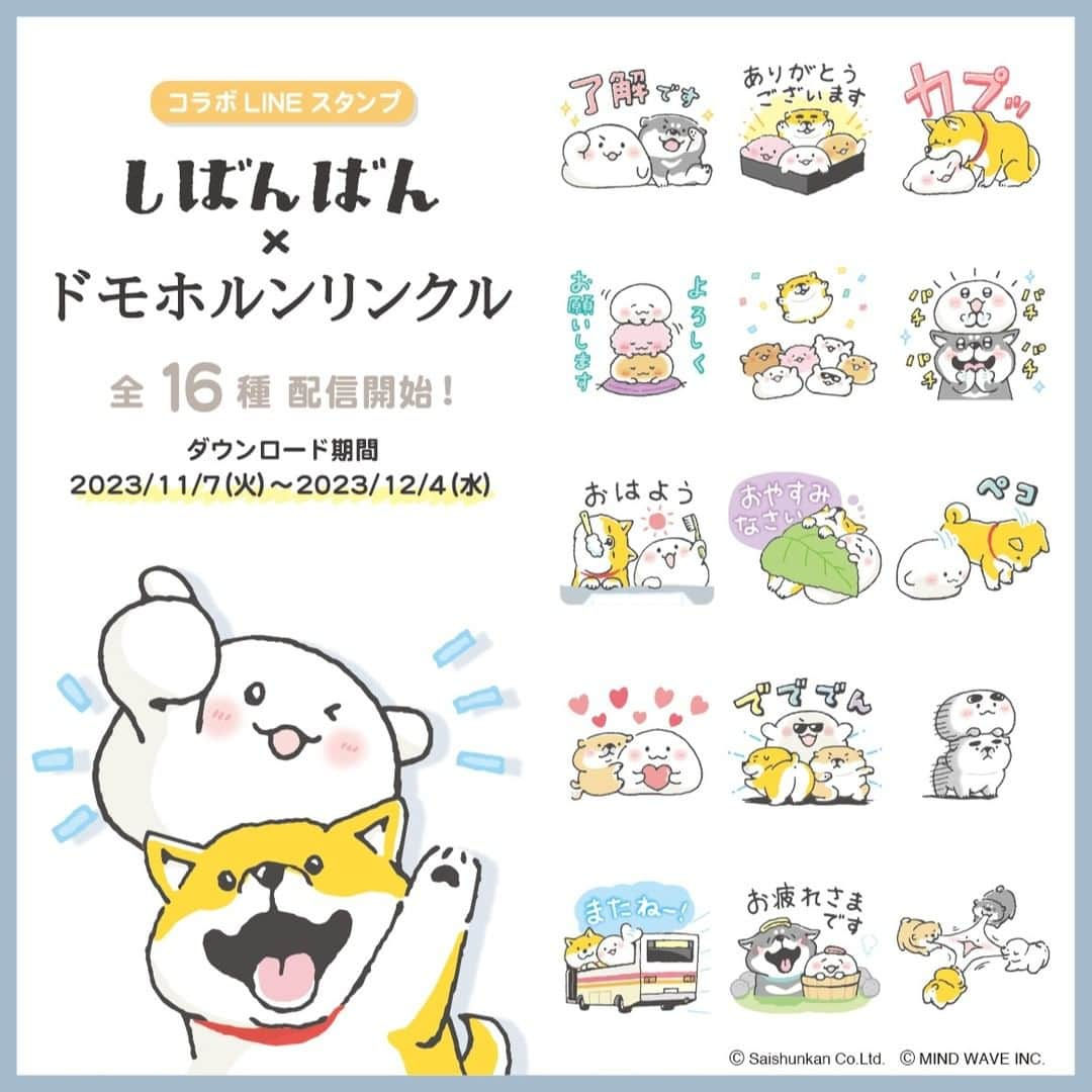 オオゴシヤステルさんのインスタグラム写真 - (オオゴシヤステルInstagram)「🐾LINE スタンプ情報🐾  ドモホルンリンクルのオリジナルキャラクター「おもちちゃん」と しばんばんのコラボスタンプが登場〈ฅ `ᴥ´ ฅ〉✨  ドモホルンリンクル公式アカウントと友だちになるともらえます♪  ダウンロード期間：2023/12/4（月）まで ▶️ https://line.me/S/sticker/29777 （ハイライトの『LINE』からもリンクに繋がります🐾）  #LINE #コラボLINEスタンプ #ドモホルンリンクル #再春館製薬 #マインドウェイブ #mindwave #しばんばん #shibanban #むちころばんばん #muchicorobanban #オオゴシヤステル #柴犬 #しばいぬ #shibainu」11月7日 11時54分 - ogoshi_yasuteru