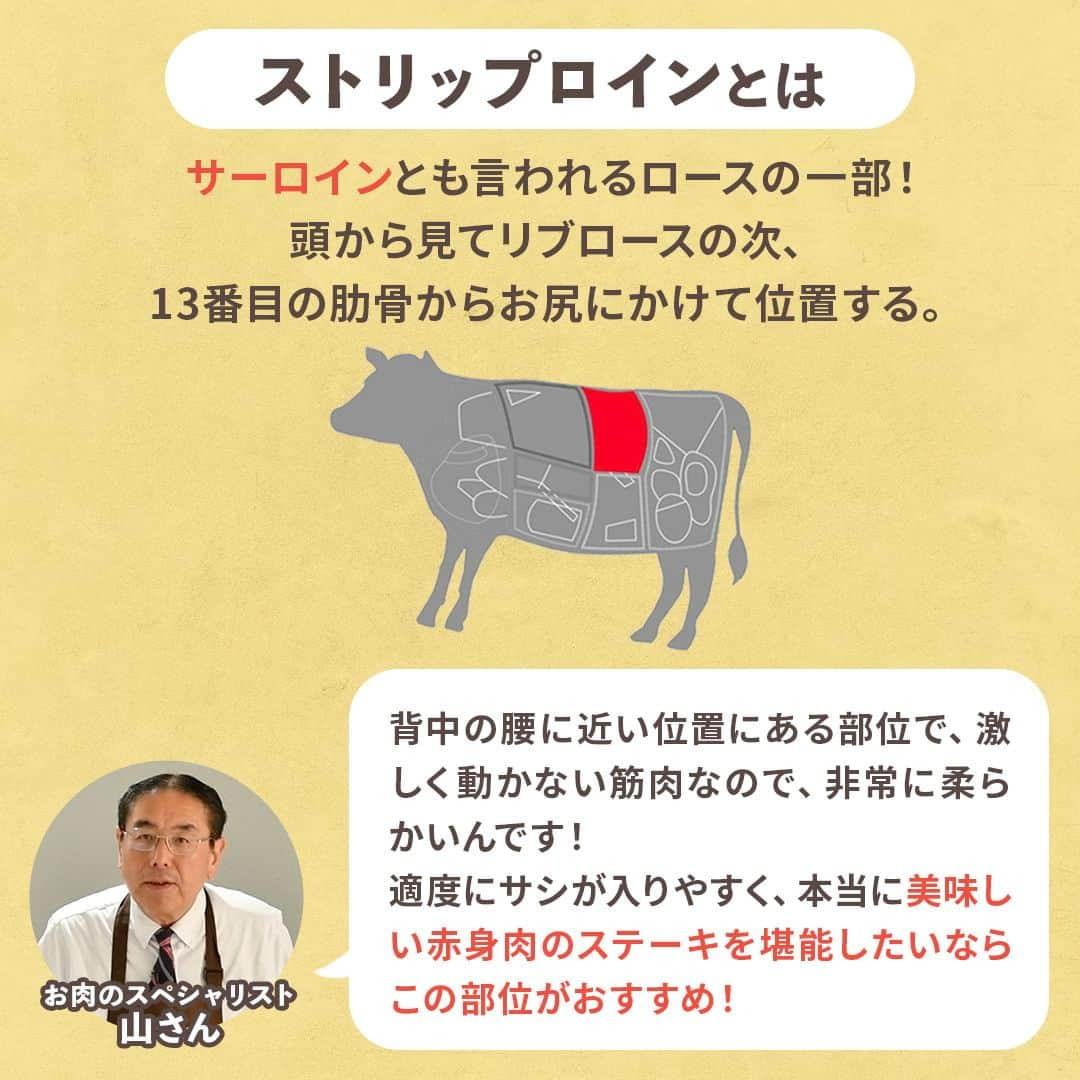 American beef&porkさんのインスタグラム写真 - (American beef&porkInstagram)「肉マニア必見！プロが教えるアメリカンビーフ講座🐮  アメリカンミートを知り尽くした肉のスペシャリスト 山さんがアメリカンビーフの豆知識を解説📝  第1弾は「ストリップロイン」について🐂  ストリップロインは知らなくても、「サーロイン」という名前は聞いたことがあるハズ！  ロースの一部で、適度にサシが入っているからジューシーでとっても柔らか🍽️ あまりのおいしさに、イギリスの王様が爵位（サー）を与えたという逸話があり 「サーロイン」と呼ばれるようになったとか。  おすすめは、赤身肉の味を堪能できるステーキ✨  詳しく知りたい方は、「知っておいしいアメリカンビーフ　ストリップロインとは」で検索！ https://youtu.be/p1S0yVTOBWA  アメリカンビーフ&ポーク公式YouTubeチャンネルでは、美味しいアメリカンビーフ&ポークのレシピや生産者の動画などを配信中！ ぜひチャンネル登録してくださいね😊 https://www.youtube.com/@americanmeatjapan  #americanmeatjapan #usmef #americanmeat #americanbeef #アメリカンミート #牛肉料理 #牛肉レシピ #肉 #肉料理 #肉好きな人と繋がりたい #ステーキ #ビーフステーキ #ストリップロイン #サーロイン #肉マニア必見 #肉豆知識 #山さんのビーフ講座 @americanmeatjapan」11月7日 12時00分 - americanmeatjapan