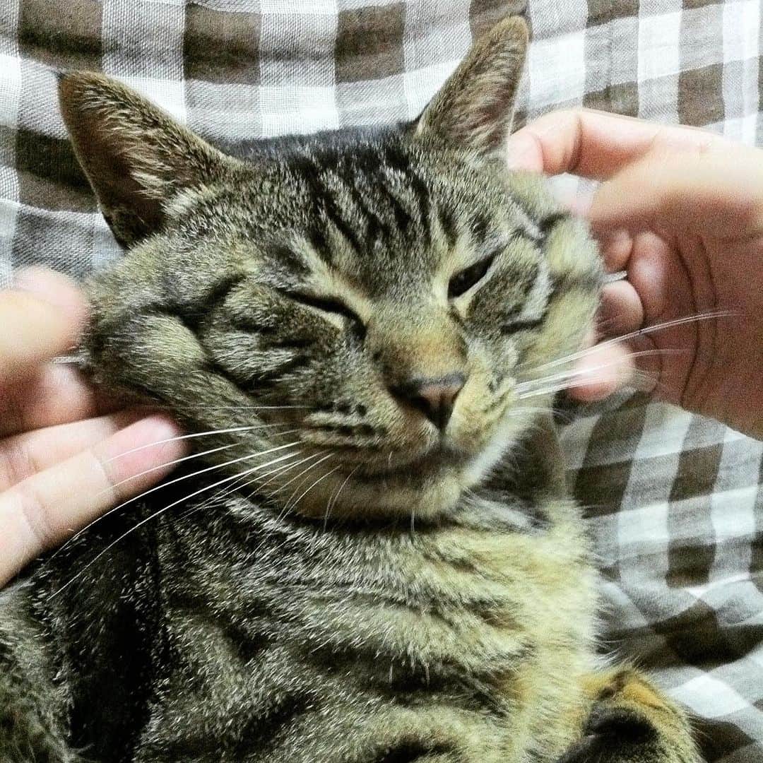 Musashiのインスタグラム