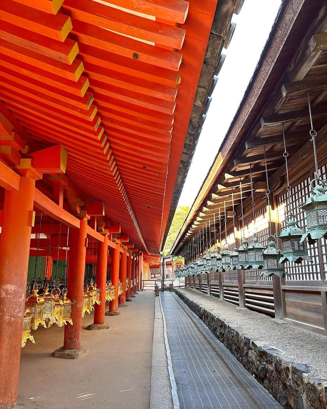 新保友映のインスタグラム：「10月の奈良旅 春日大社⛩️  #奈良 #いざいざ奈良 #奈良旅 #奈良旅行  #nara #kasugataisha  #todaijitemple  #daibutsu」