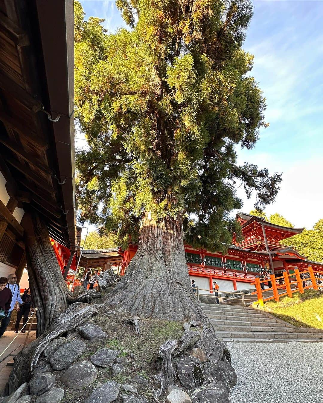 新保友映さんのインスタグラム写真 - (新保友映Instagram)「10月の奈良旅 春日大社⛩️  #奈良 #いざいざ奈良 #奈良旅 #奈良旅行  #nara #kasugataisha  #todaijitemple  #daibutsu」11月7日 12時11分 - tomoemoe0520