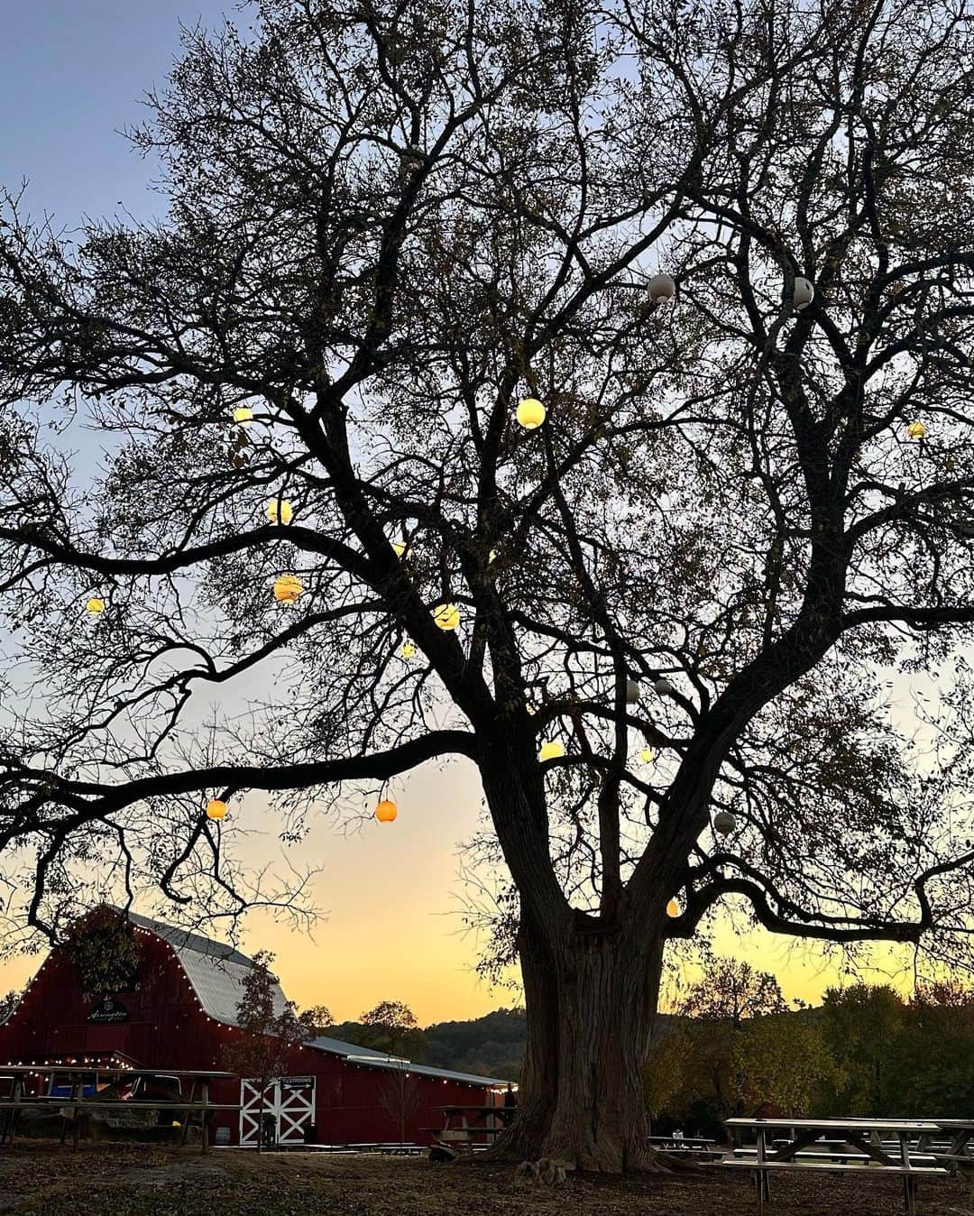 エイドリアン・バイロンさんのインスタグラム写真 - (エイドリアン・バイロンInstagram)「cheers 🍷  pics from my bday… wine tasting with my familia @arringtonvineyards in nashville. it was so perfect… xx」11月7日 12時26分 - adriennebailon