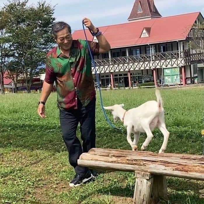 のインスタグラム：「きょうのマツケンさんぽ👟は #岐阜県 の #中津川市ふれあい牧場 へ🐐  健さんはヤギとおさんぽ、 篠田アナはウサギとおでかけ！  スタジオでは、ヤギ使いのようにヤギと仲良くお散歩する健さんに大盛り上がりでした🥰  #東海テレビスイッチ #いっしょにアップデート #松平健 さん #児嶋一哉 さん #千賀健永 さん #吉田ジョージ #篠田愛純 #鈴木翔太」