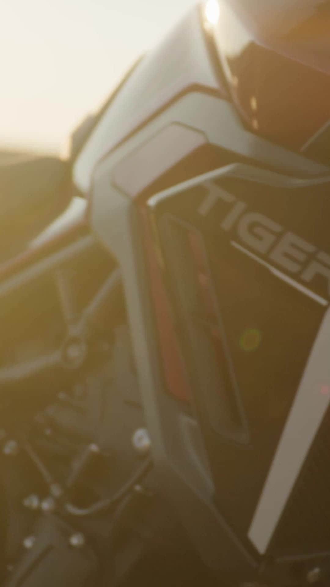 Triumph Motorcycles Japanのインスタグラム：「新型 Tiger 900 GT Proでかつてない冒険を🔥⁣ ⁣ 自分好みにカスタマイズしましょう。⁣ ⁣ #TriumphTiger #Tiger900 #トライアンフ #トライアンフはかっこいい #バイク #バイク好きな人と繋がりたい #バイクのある風景 #バイクが好きだ #バイク好き #バイク乗りと繋がりたい #理想のライドがそこにある #triumph #ForTheRide #OfficialTriumph #TriumphMotorcycles #Motorcycle #MotorcycleLife #Motorcycles #MotorcycleLifestyle #MotorcycleAddict #MotorcycleClub」