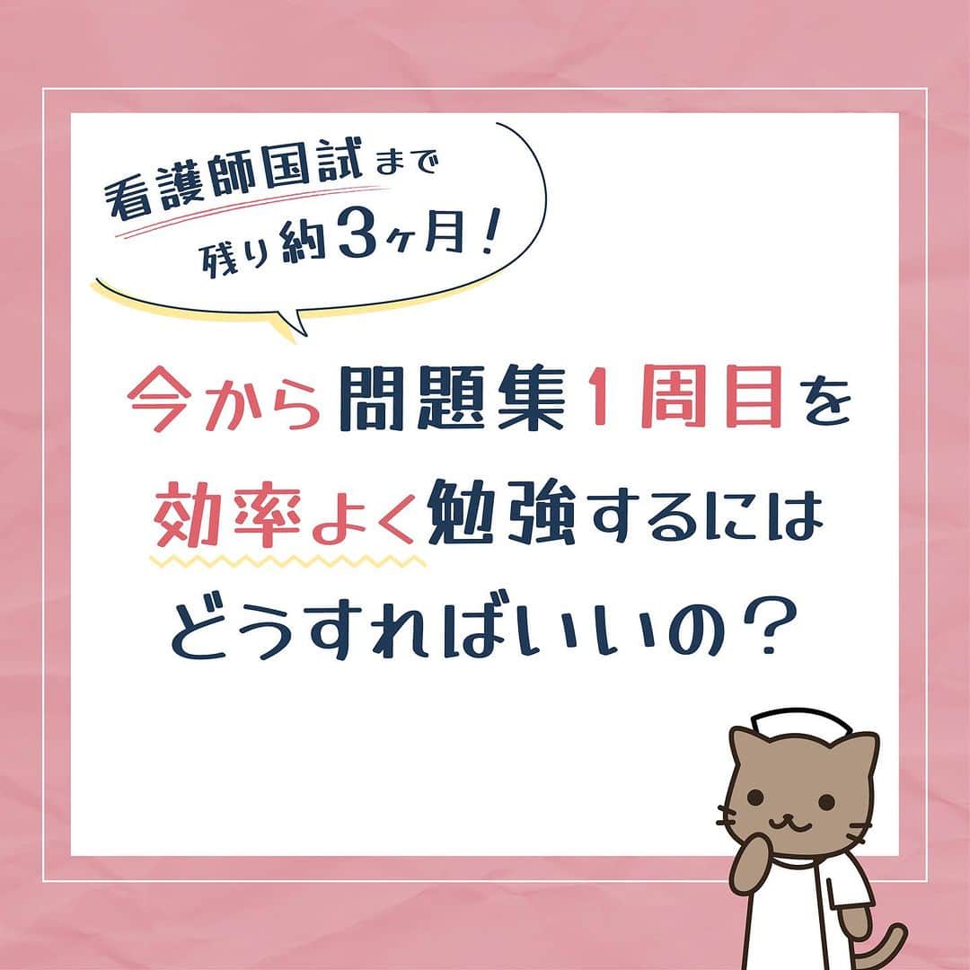 ネコナースのインスタグラム：「国試まで後100日をきりました！！📢(；ﾟДﾟ) 100日と聞くとあっという間に感じますね💦 国試勉強は効率よくできていますか？ レビューブックでは過去の国試で良く出た， 頻出項目や正答率70％以上の項目に色付けされています！ 是非レビューブックを使いこなして， 効率の良い勉強をしましょう！！🍁 投稿の最後には是非確認してほしい情報がのっているので そちらも参考にしてください！♡  ＃第113回看護師国家試験＃第113回 ＃看護師国家試験＃レビューブック ＃マイレビューブック＃太っちょ計画」