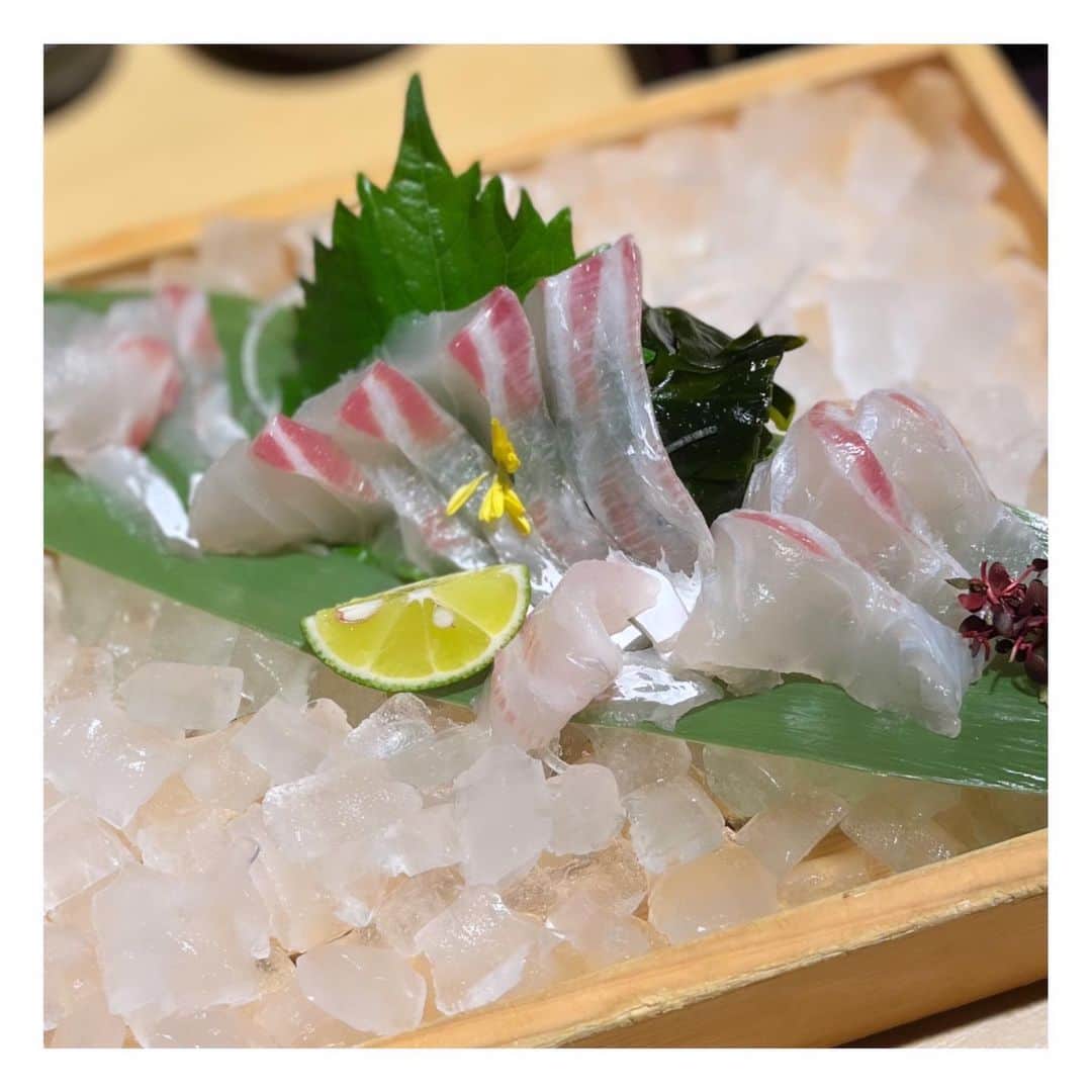 青木裕子さんのインスタグラム写真 - (青木裕子Instagram)「「香川でうどんを食べ歩きたい！」 「鳴門の鯛って美味しいねえ。」 「お昼は淡路島で回転寿司^_^」 「ハンバーグミートドリア！！！」  おいしい思い出。  #たくさん食べました  #四国旅」11月7日 14時03分 - yukoaoki_official
