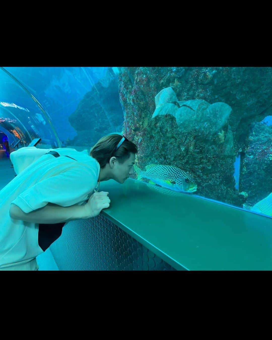 平野紫耀さんのインスタグラム写真 - (平野紫耀Instagram)「🏊🐟  #シンガポール #またお邪魔します #夜のプールは寒い #あたりまえ」11月7日 14時09分 - sho_h_desyo