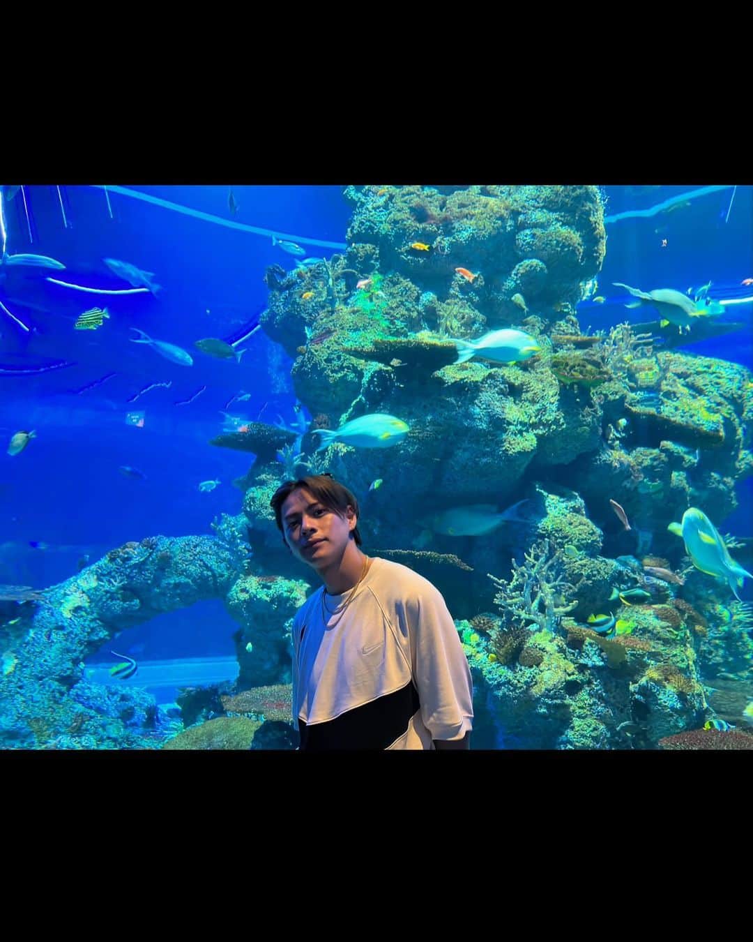平野紫耀さんのインスタグラム写真 - (平野紫耀Instagram)「🏊🐟  #シンガポール #またお邪魔します #夜のプールは寒い #あたりまえ」11月7日 14時09分 - sho_h_desyo