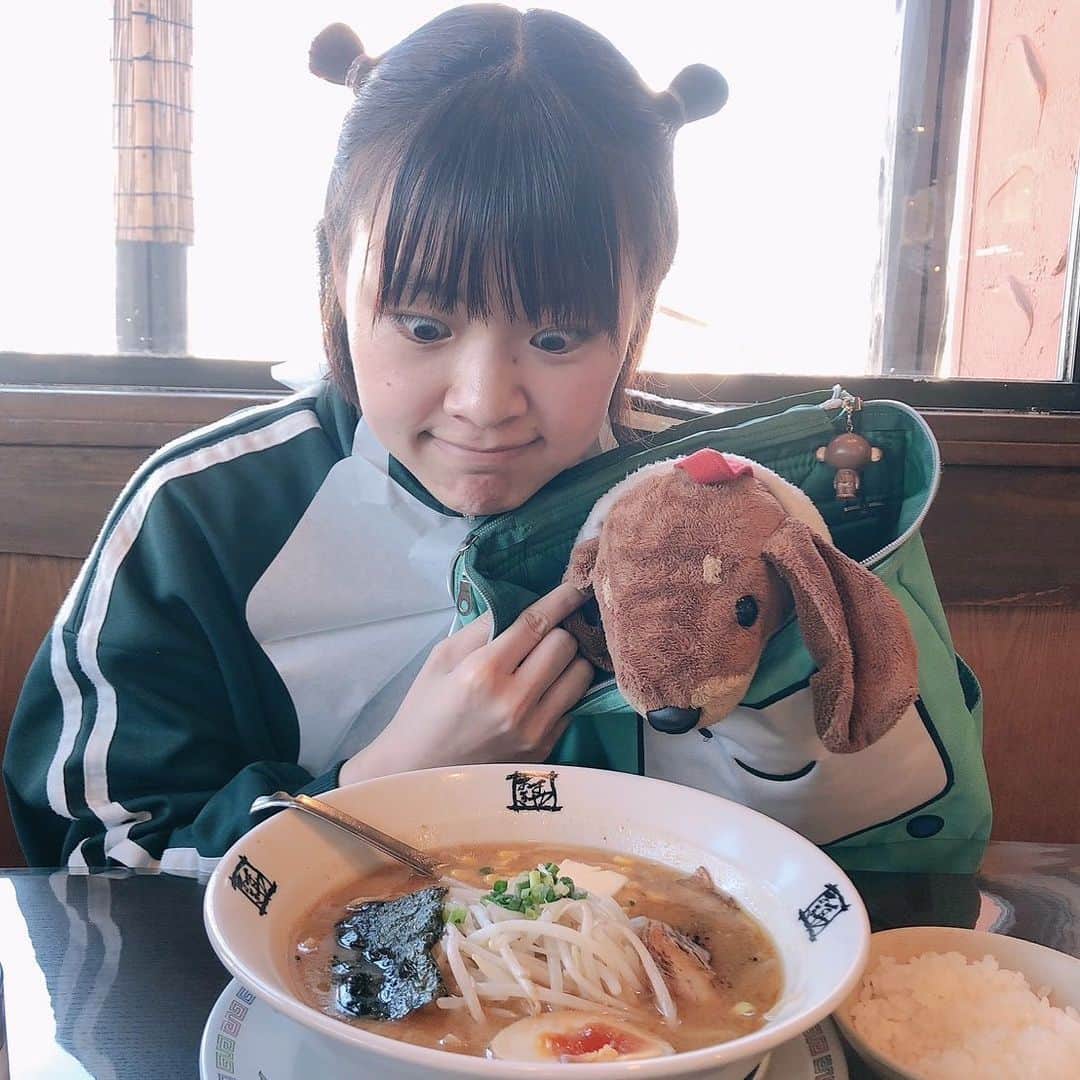 櫻井里花のインスタグラム：「ﾗﾒﾝ‼︎ﾊﾗｲｯﾊﾟｲ🐶🍜」