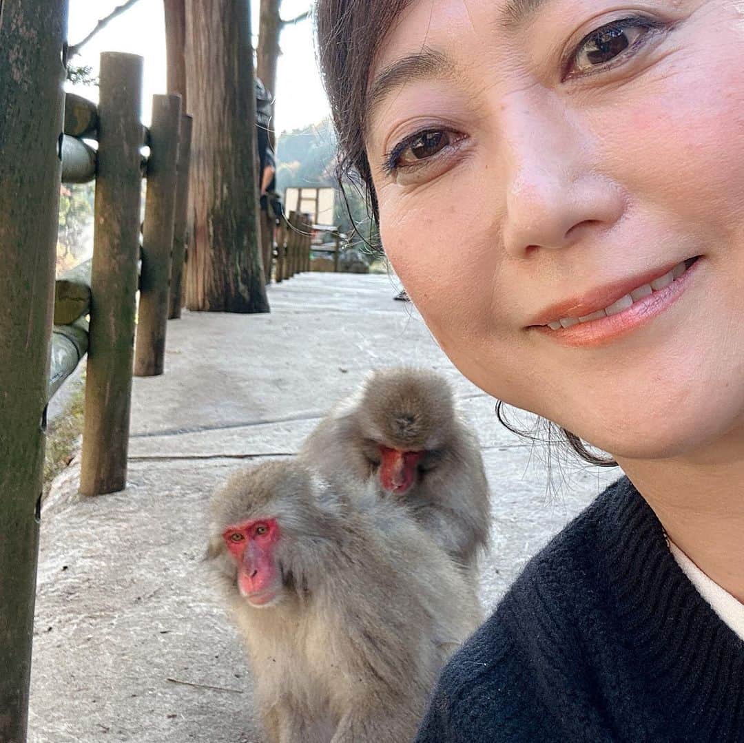水谷千重子のインスタグラム：「可愛すぎるお猿🐒 も〜たまらん🐒🐒❤️❤️😍 #猿 #ウォークマンはしてなかったわ🤭」